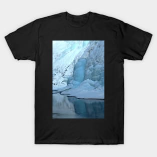 Winter At Johnston Canyon T-Shirt